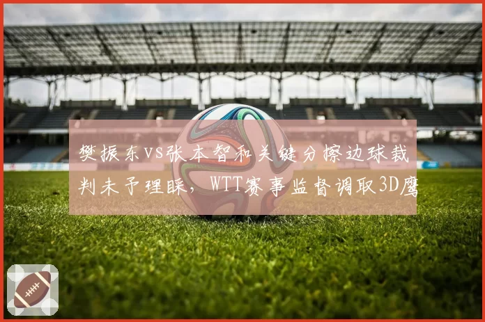 樊振东vs张本智和关键分擦边球裁判未予理睬，WTT赛事监督调取3D鹰眼画面