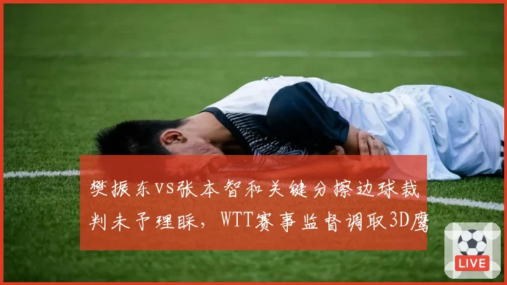 樊振东vs张本智和关键分擦边球裁判未予理睬，WTT赛事监督调取3D鹰眼画面