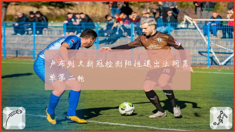 卢布列夫新冠检测阳性退出法网男单第二轮
