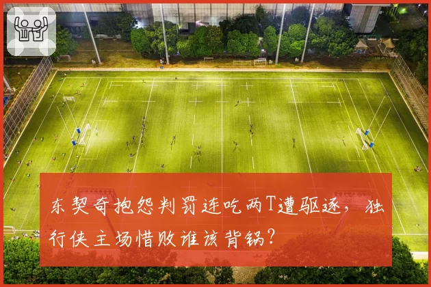 东契奇抱怨判罚连吃两T遭驱逐，独行侠主场惜败谁该背锅？