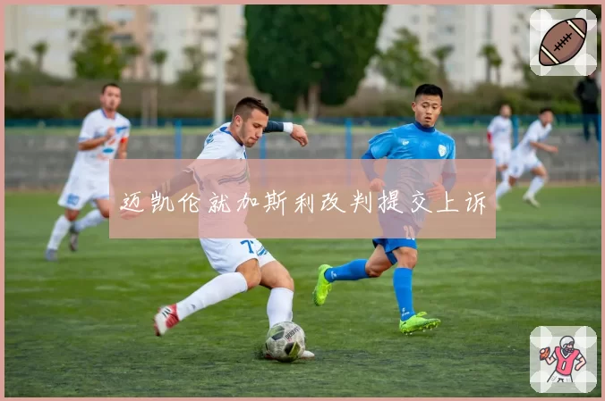 迈凯伦就加斯利改判提交上诉